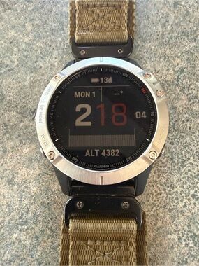 Garmin Multisport GPS Watch - Fenix 6